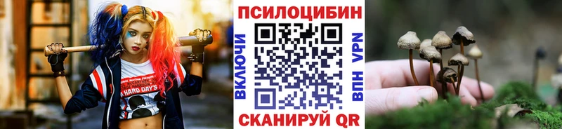 нарко площадка какой сайт  купить наркотик  Томмот  Галлюциногенные грибы Cubensis 
